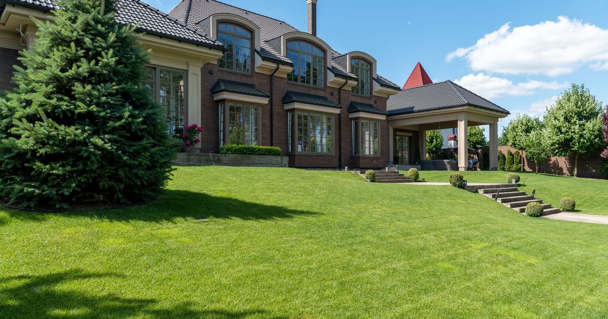 Sierra Lawn Care work in Saint Petersburg