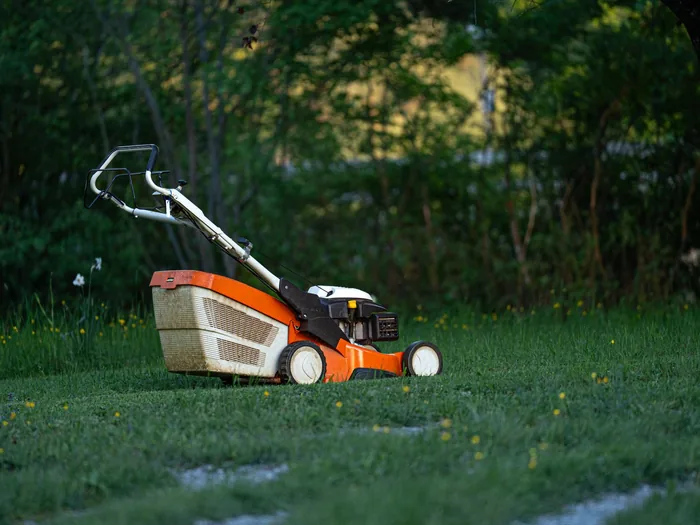 A push mower on a green residential lawn mid cut, no people