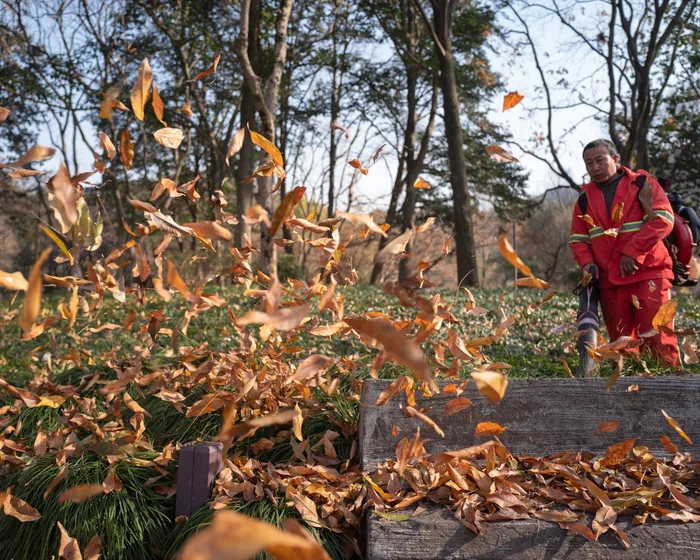 Seasonal Cleanup by Sierra Lawn Care